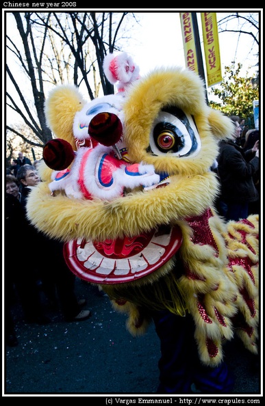 Nouvel an chinois 2008. Défilé du dragon - Défilé du nouvel an chinois a Paris. Année du cochon.
Traditionel défilé du dragon.
Le Nouvel An Chinois est la célébration du premier jour du printemps dans le calendrier lunaire. Il se situe selon les années entre le 20 janvier et le 18 février.
La Danse du Dragon se jouait généralement le dernier jour du Festival de la Lanterne. Il faut avoir une dizaine de personnes pour l'exécuter, la taille du dragon mesurant au moins 8 mètres ou même 10, avec plusieurs sections d'un mètre et plus pour chacune. Le dragon est fait de perches de bambou et de tissu de soie, parfois illuminé par des bougies à l'intérieur de son corps. Les exécutants qui tiennent chacun une section font le mouvement d'ensemble, de manière que le dragon monte, descend, tourne, s'enroule ou se déroule gracieusement. 20071027_CNY19.jpg